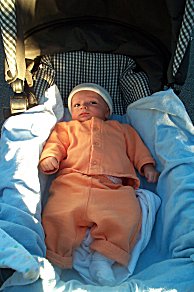 Vaughan at Baby Walk