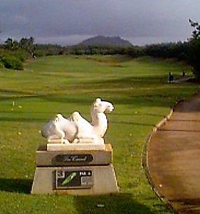 kauai22.jpg (20570 bytes)