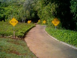 kauai25.jpg (17579 bytes)