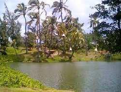 kauai27.jpg (11068 bytes)