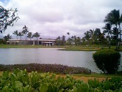 kauai29.jpg (14632 bytes)