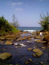 kauai5.jpg (14918 bytes)