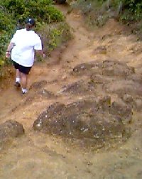 kauai8.jpg (15469 bytes)