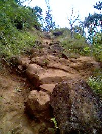 kauai9.jpg (22712 bytes)