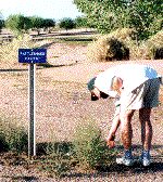 george in rattlesnake territory