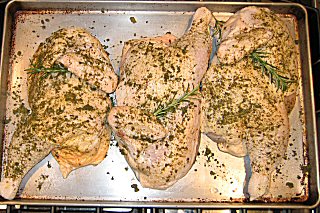 rosemary chicken